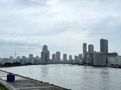 築地大橋とスカイツリー　2024-4-23