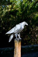 Who Saw Who?  12-16-25