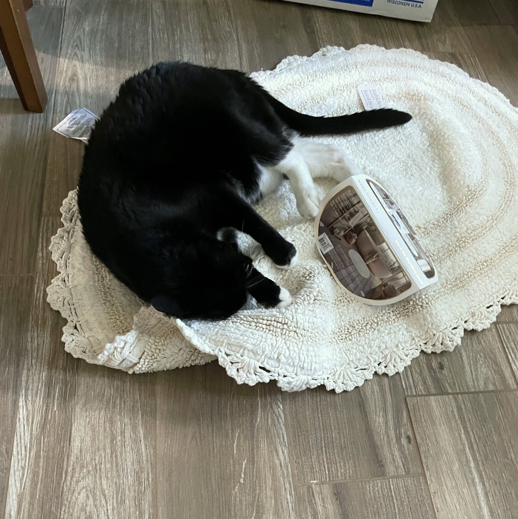 New Bathmat 12-25-25