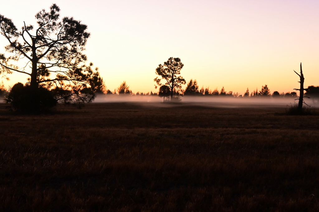 たなびく　1-1-26