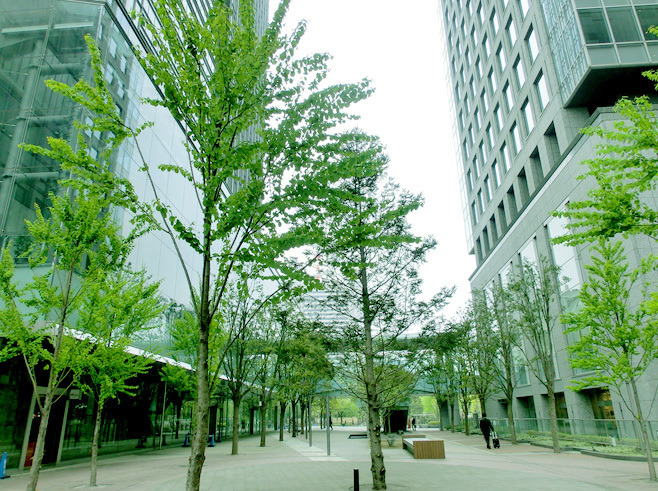 building