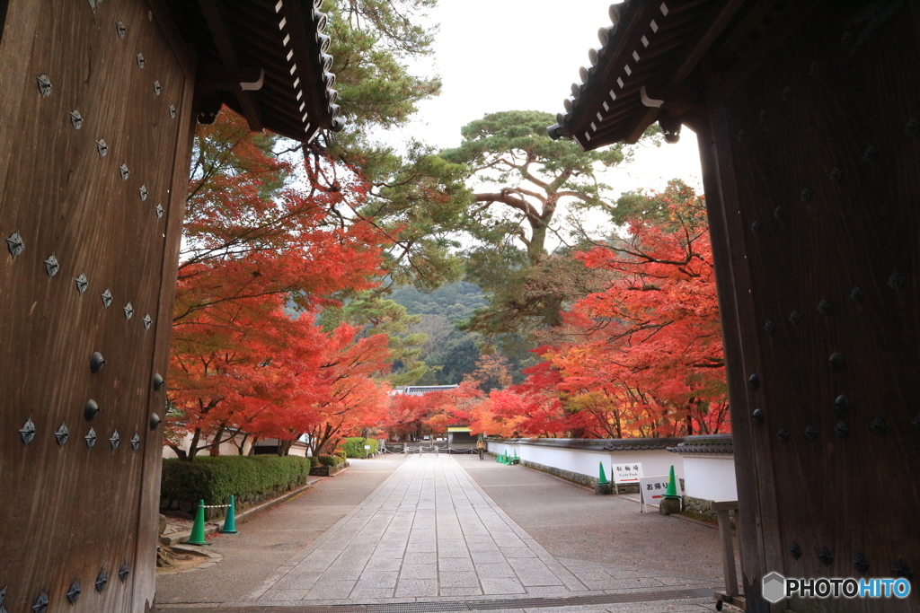 IMG_1145 二日目　南禅寺迄の道のり