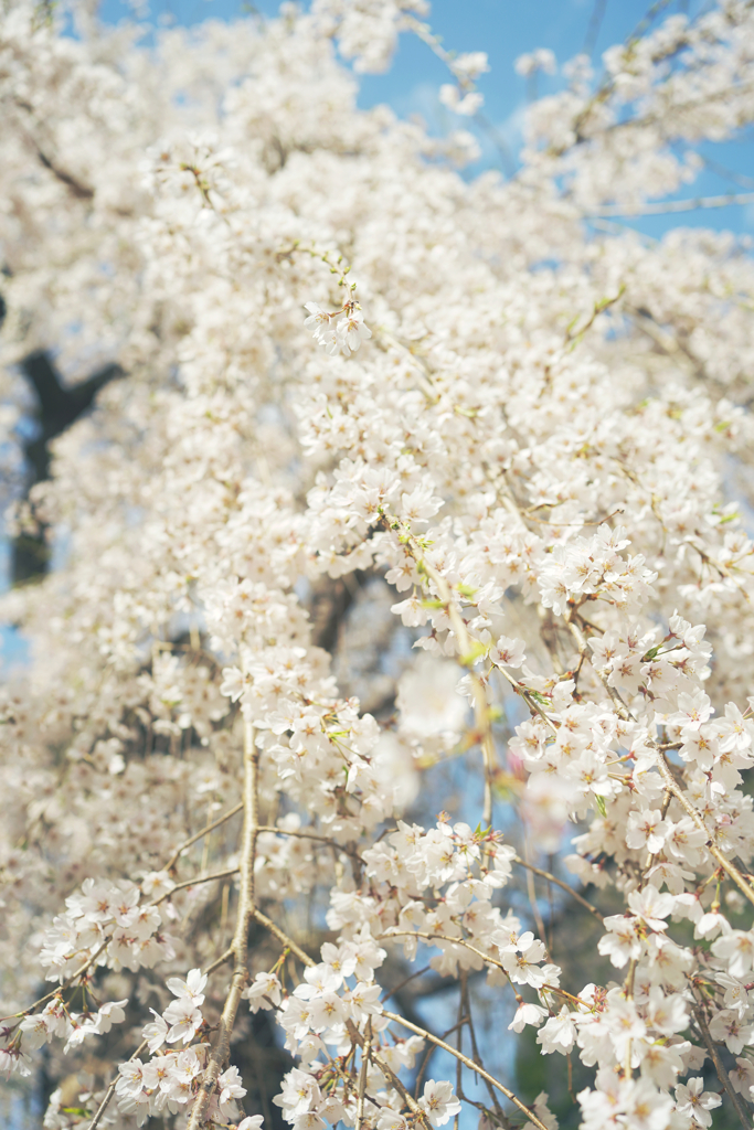 華の滝