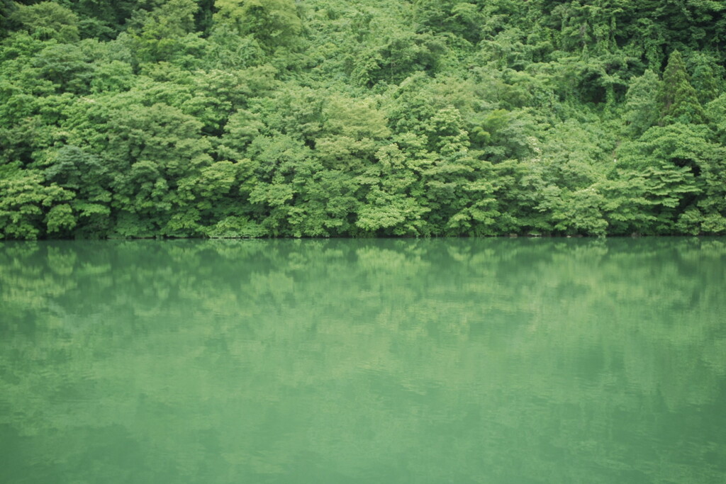 緑