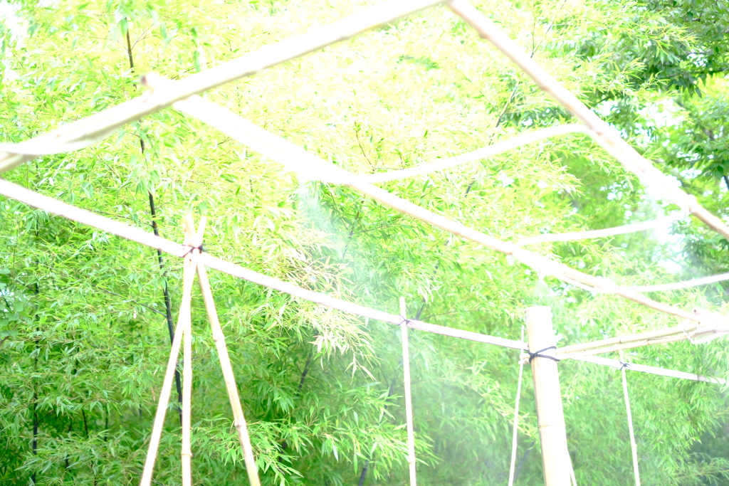 夏本番に向けて！