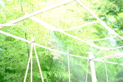 夏本番に向けて！