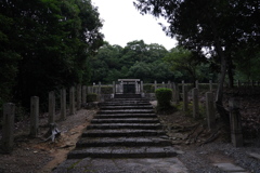 静かな朝