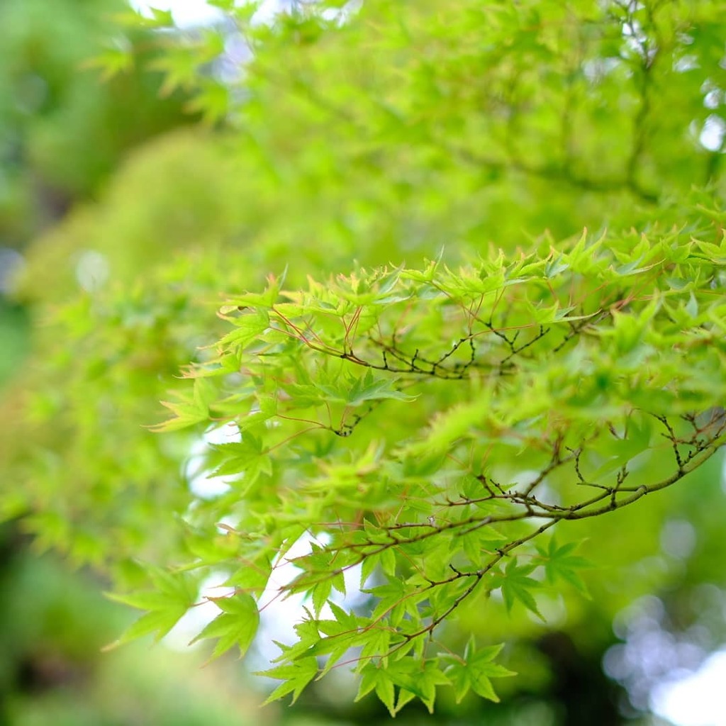 梅雨明け間近！