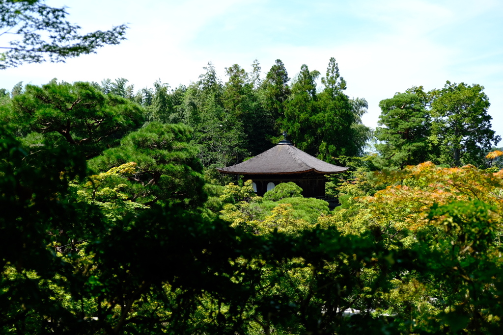 真夏の銀閣寺