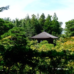 夏の風景