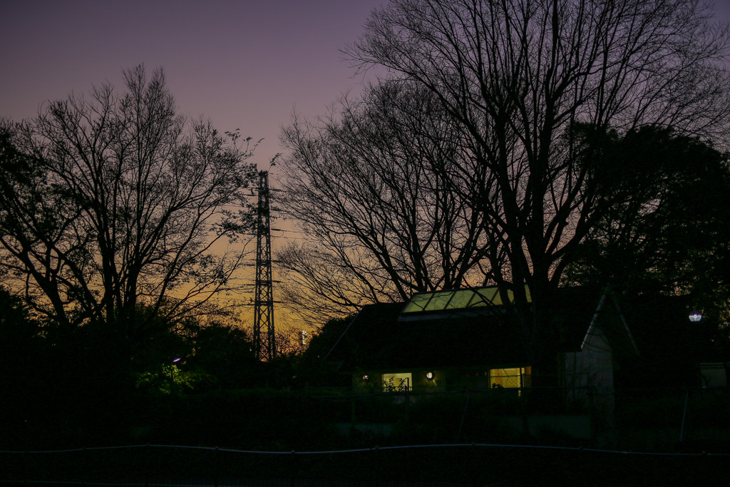 夕闇#3