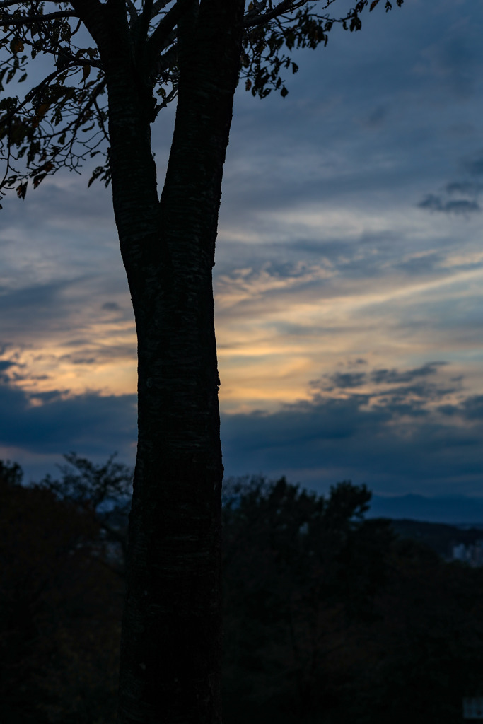 夕暮れ