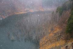 雪の湯西川