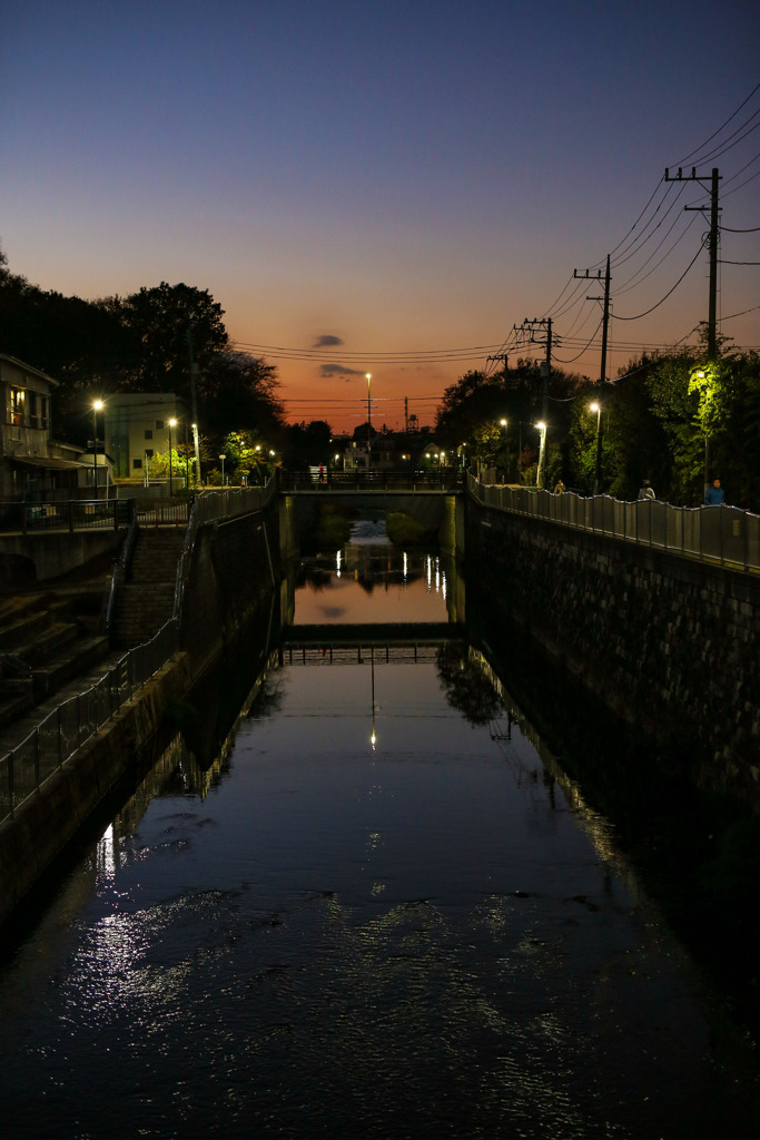 夕闇#1
