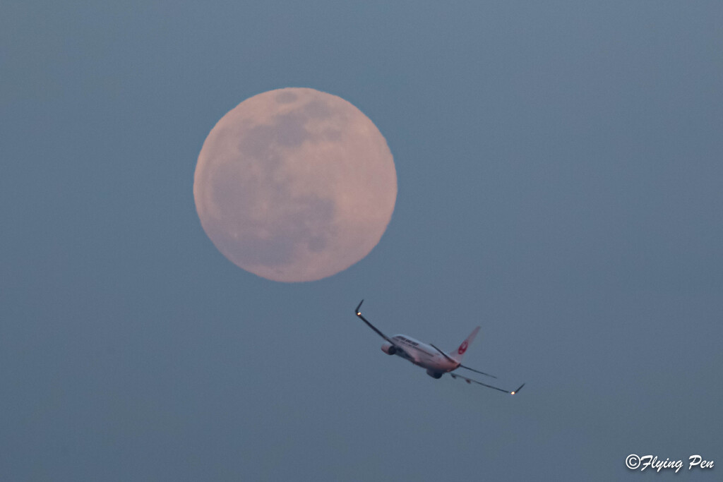 ピンクムーンと飛行機