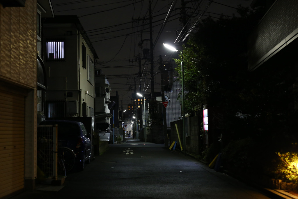 Night Snap Photo#1