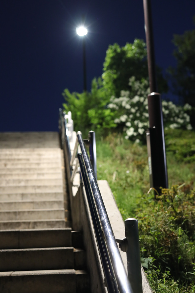 Night SNap #2