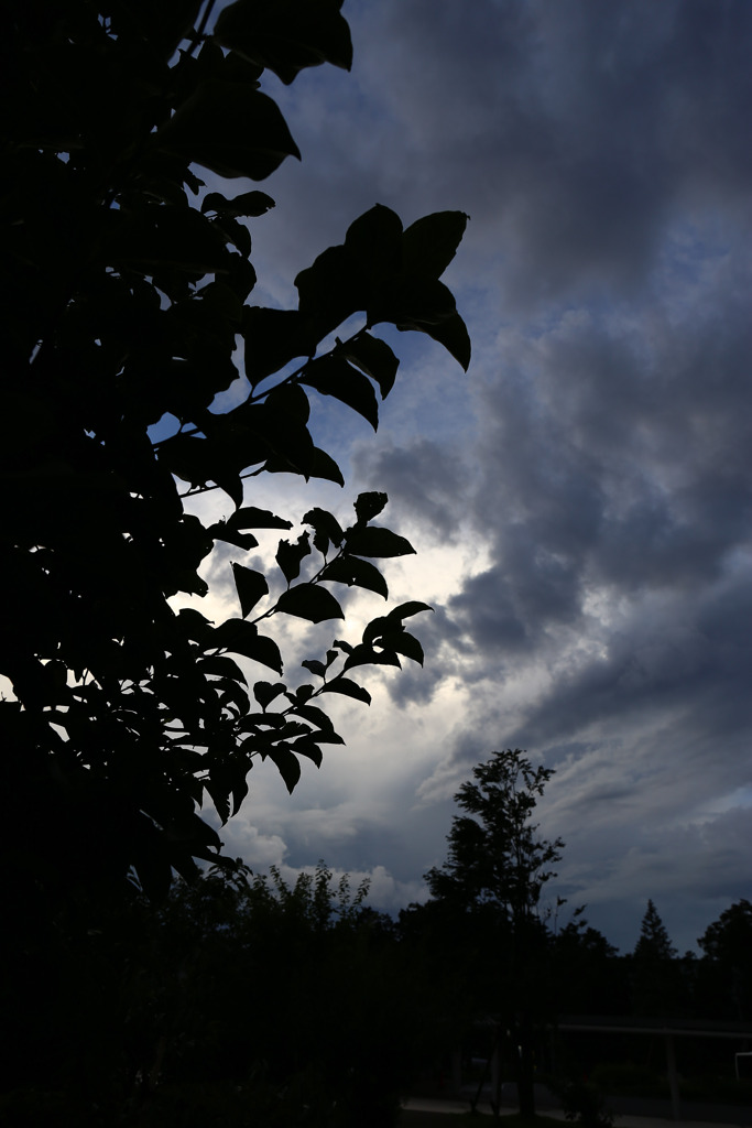 夕暮れ
