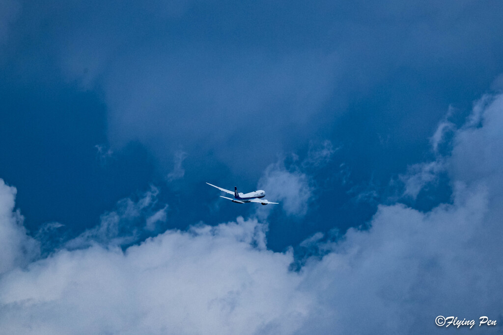 大空をゆく