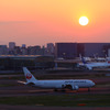 夕陽と共に