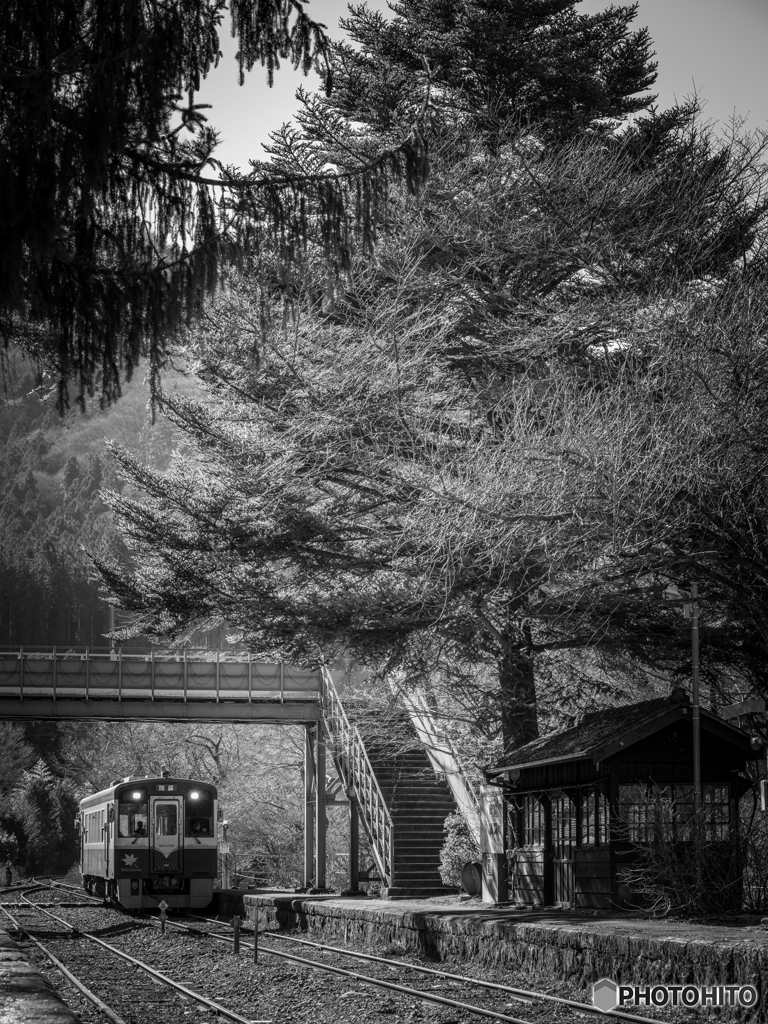 山中の駅で