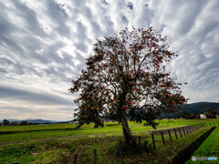 雲に覆われて