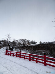 雪に佇む