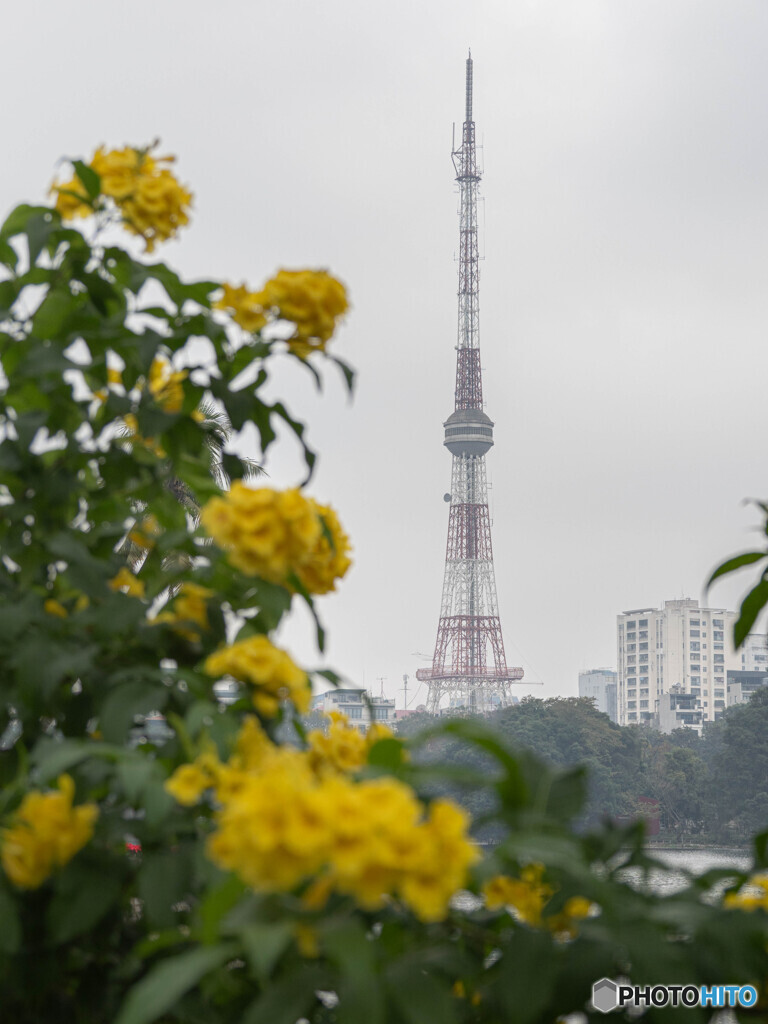 東京タワーっぽいけど