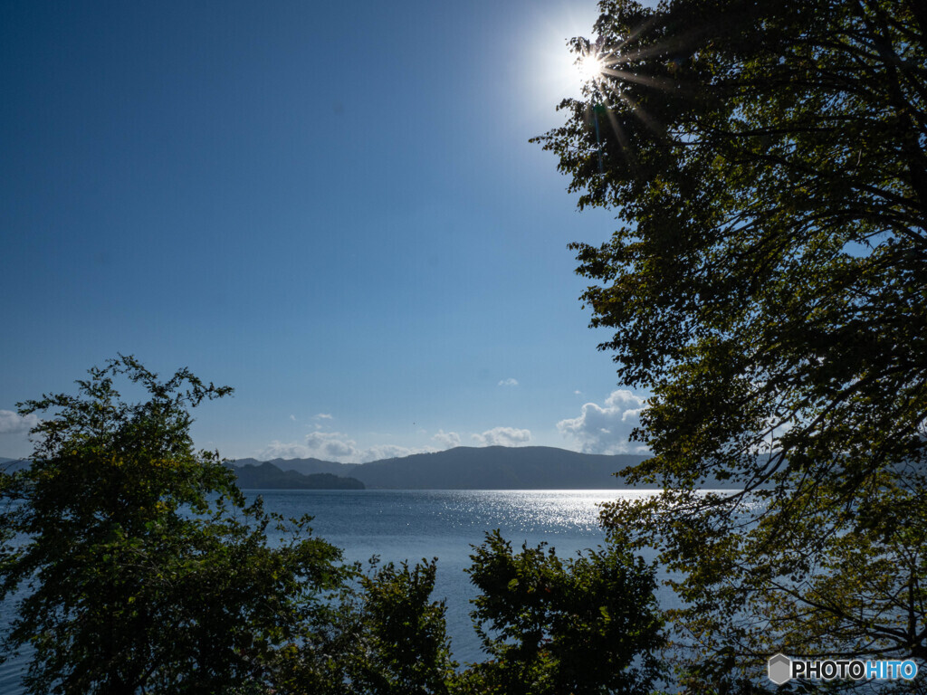 湖畔の朝