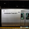 CT817
