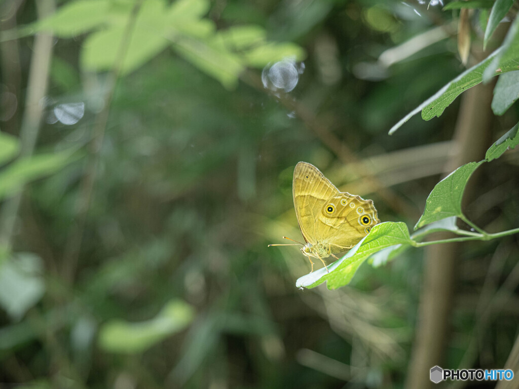 そっと近づいて