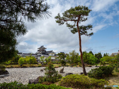 伸びやかな風景