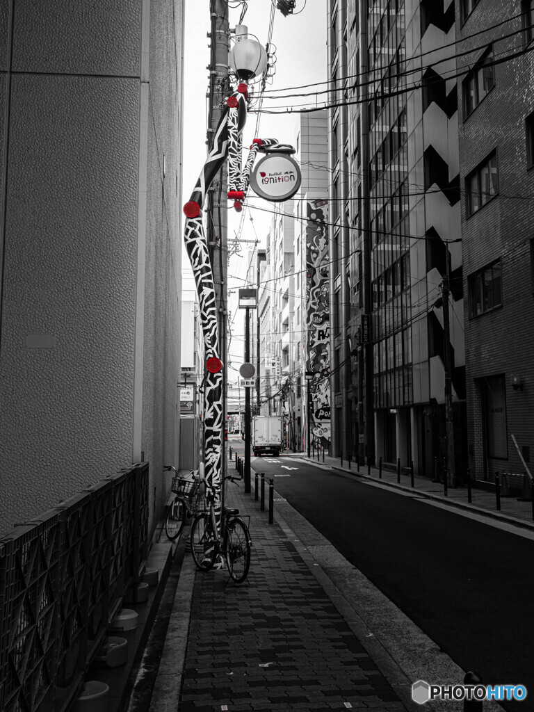路地裏の巨人