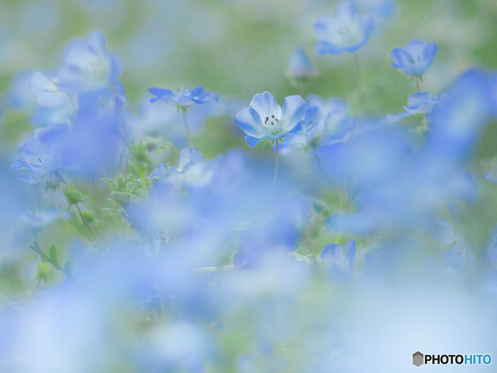青に埋もれる