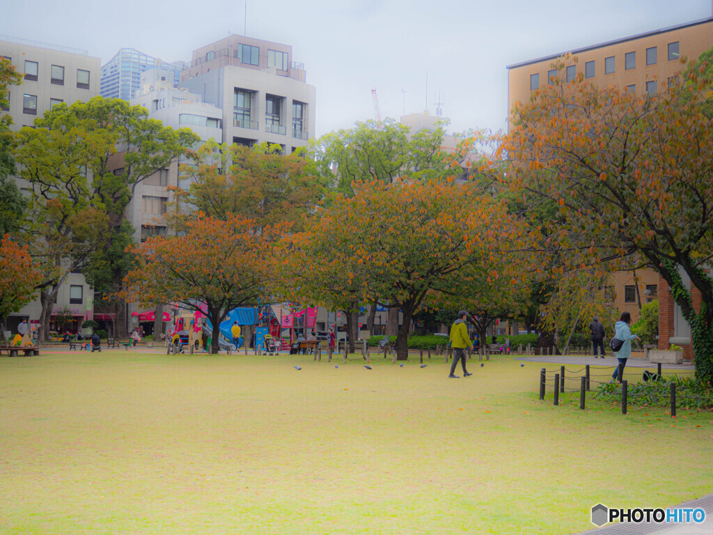 ある日の横浜公園