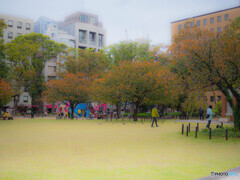 ある日の横浜公園