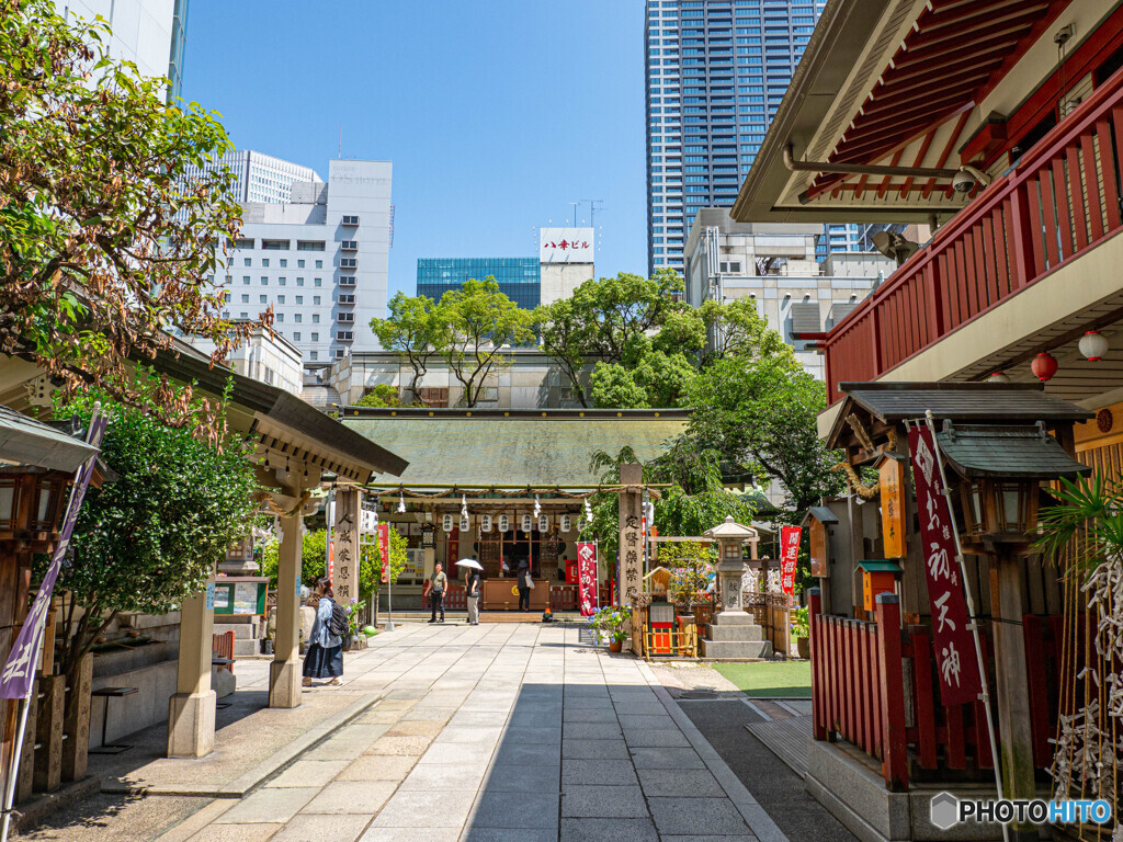 夏の日の参道