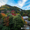 まずまずな紅葉