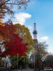 秋のさっぽろテレビ塔