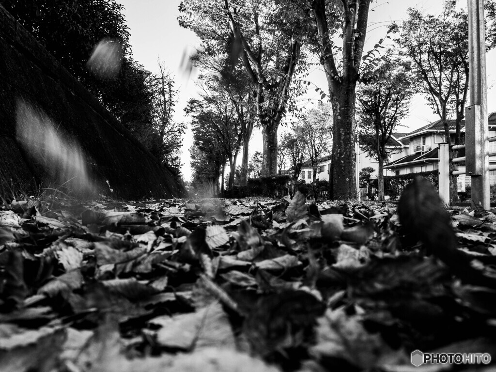 枯葉舞う街角で