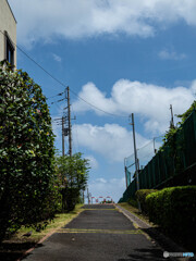 夏へ続く道