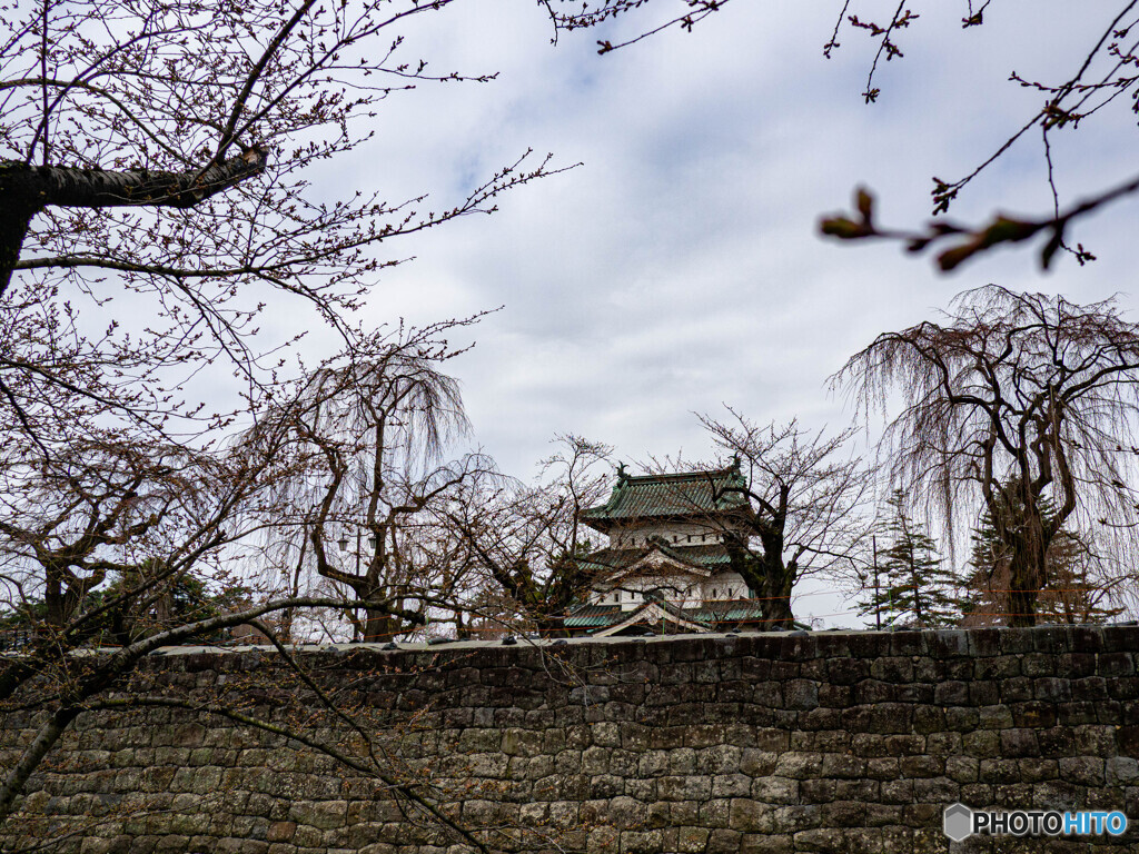 零分咲き