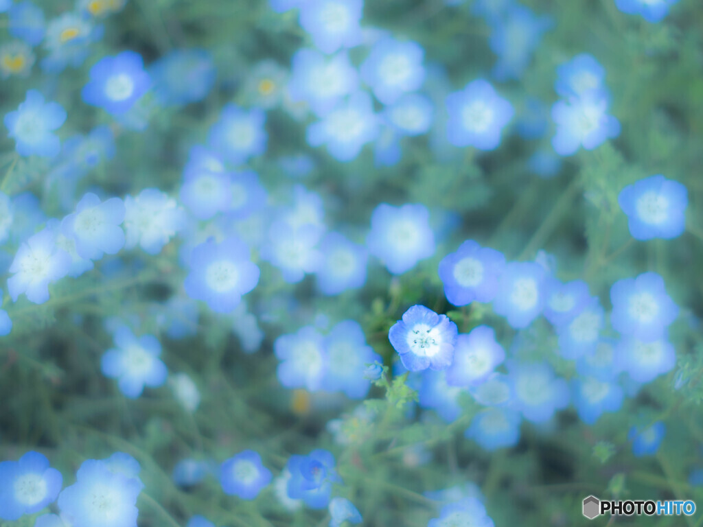 それは星空のように