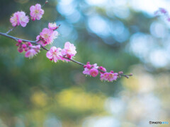控えめに