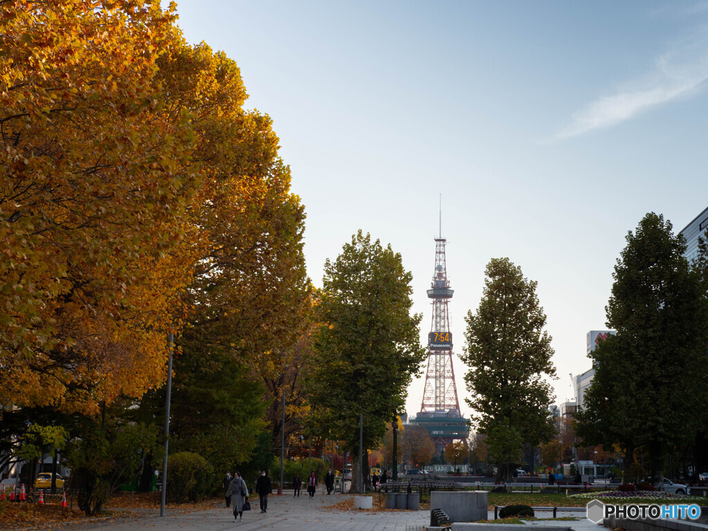 ある11月の晴れた日の朝