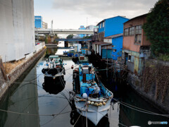 小さな川の景色