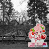 桜ミク、りんご飴を食べる