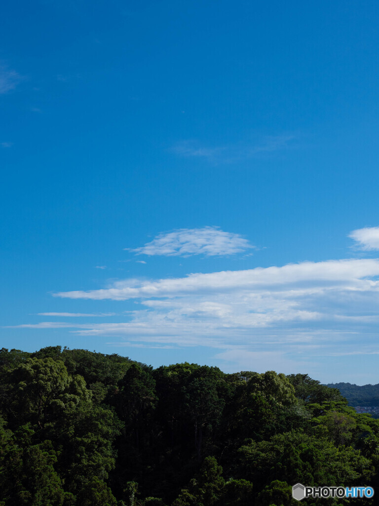朝から暑い。ただそれだけ。