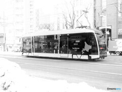 雪の中のシリウス