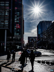 逆光の8℃